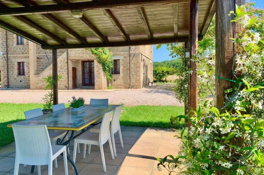 Die Maulbeerbäume auf dem Bauernhof - foto 22