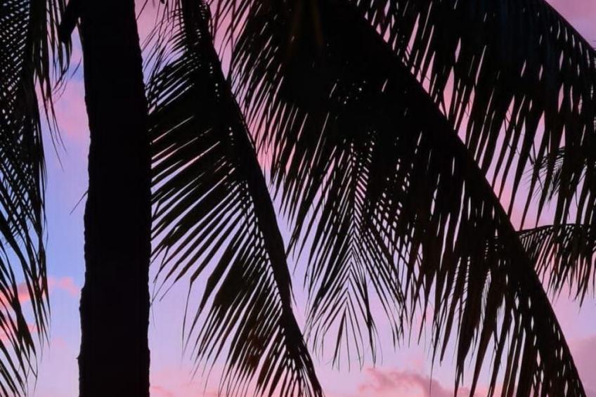 Villa Panseiku mit privatem Pool Jan Thiel - foto 6