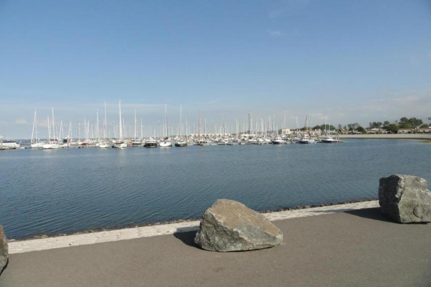 Dichtbij de Oosterschelde - foto 30