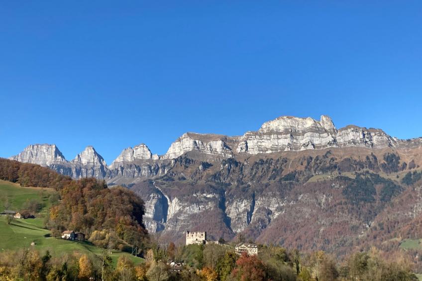 Sunnähöggli - foto 8