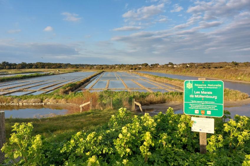 Le Domaine des Pins - foto 19