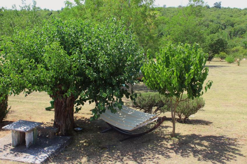 Das Haus im Wald - foto 32