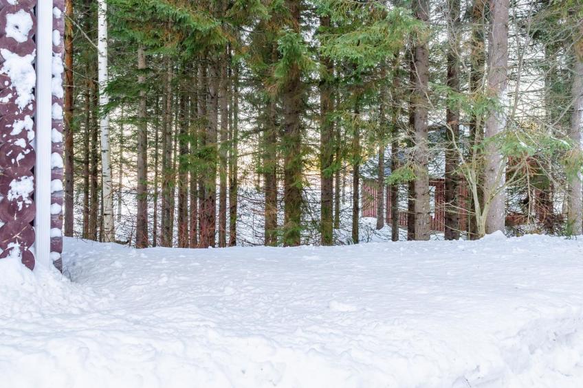 Koli, pielislinna/savilahti - foto 19