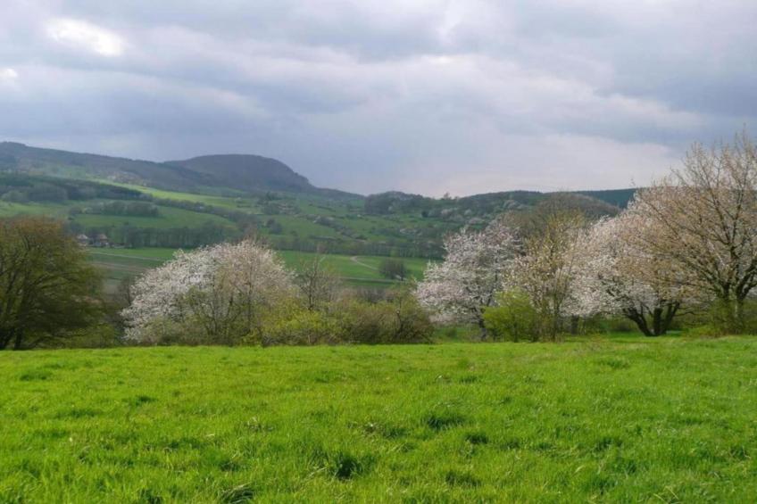 Ferienwohnung Apelt - foto 29