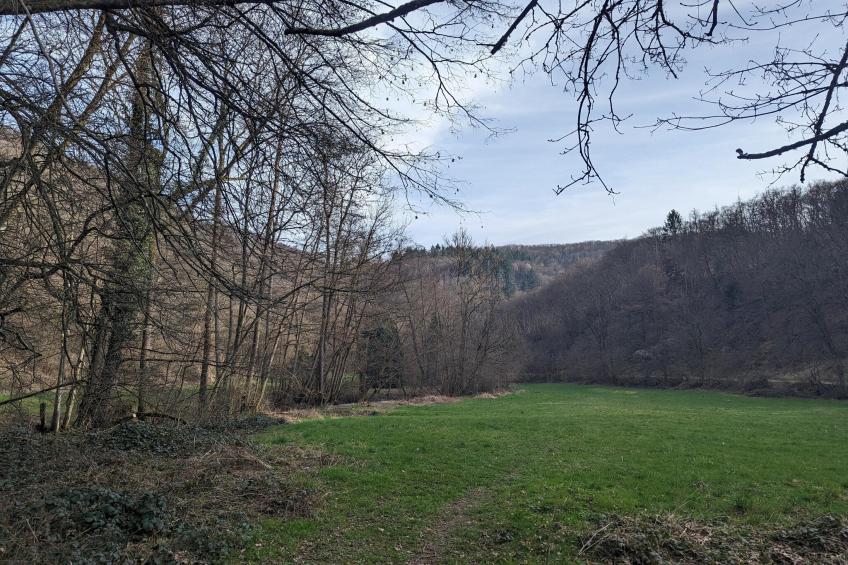 Double Room with Extra Bed - foto 25