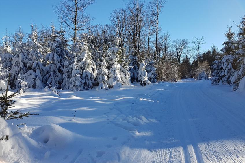 Ferienvilla mit eigener Sauna - foto 47