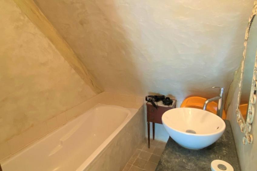 Le domaine des roseraies, gîte les roseraies - foto 13