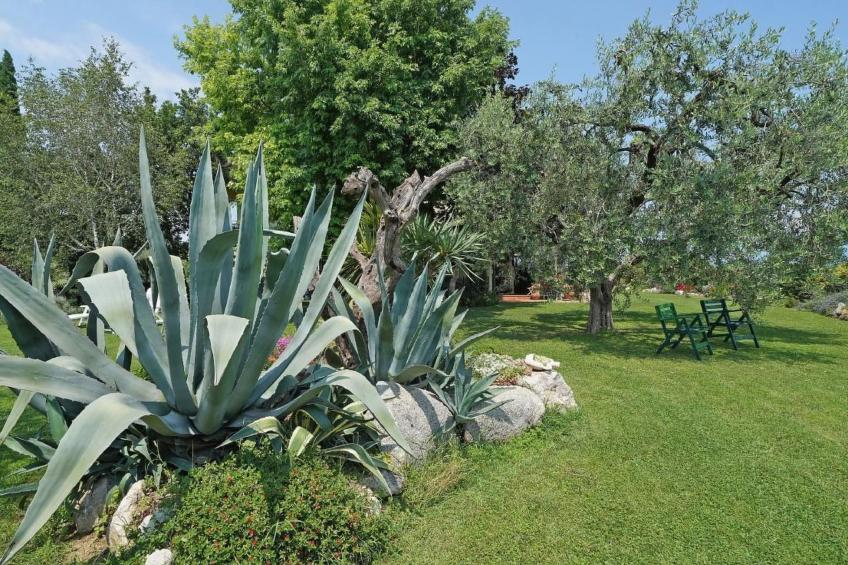 TERRAZZE SUL GARDA - foto 32