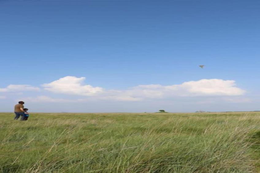 Le Domaine du Mont - foto 27