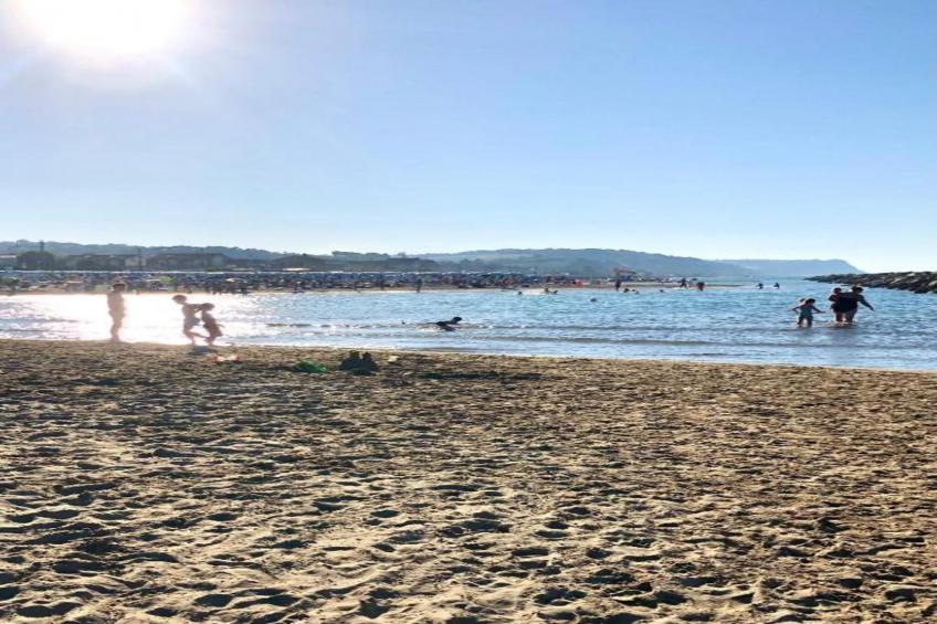 Vanessa Coccinella - foto 29