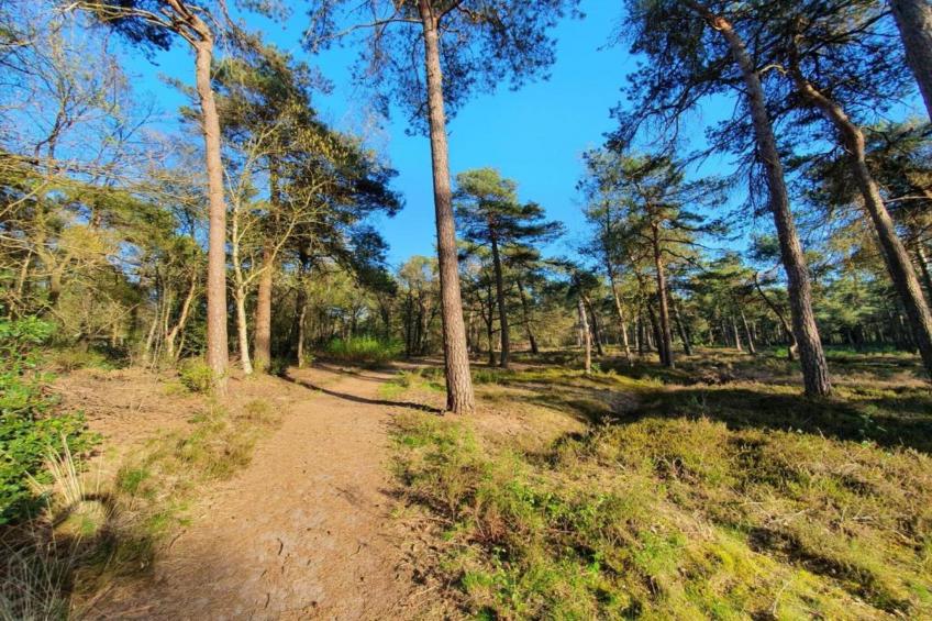 Vakantiepark de Vossenburcht - foto 31