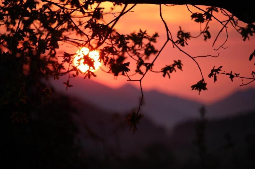 Schafmatthof 1 Obergeschoss - foto 20