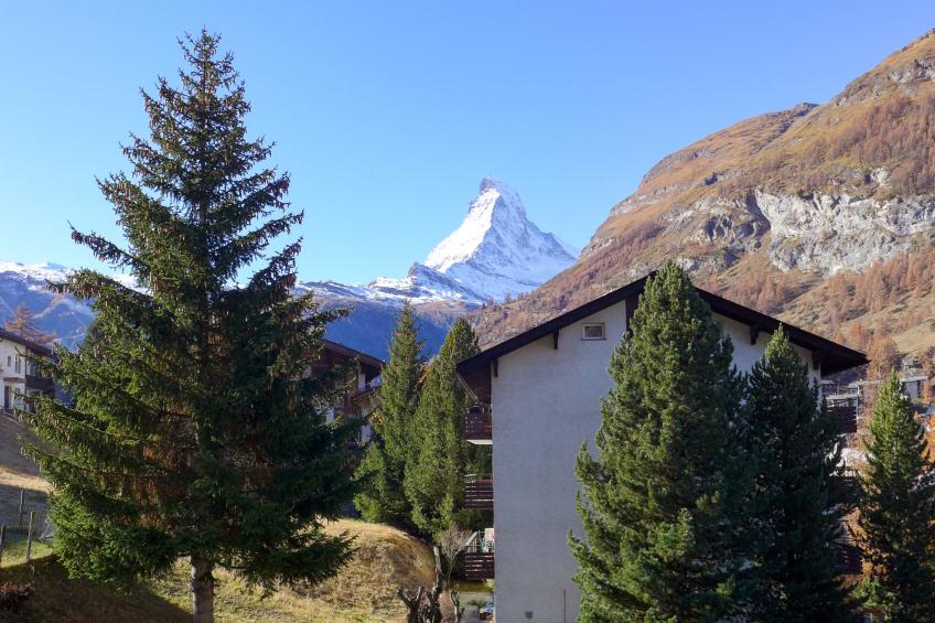 St. Bernhard