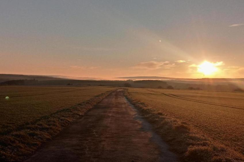 Pilmeroth 20 - foto 40