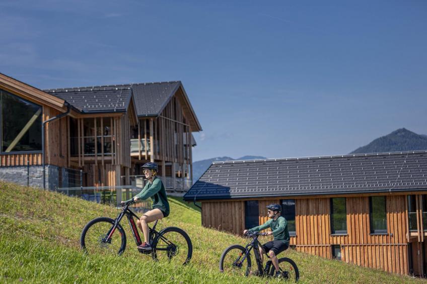 Premium Ferienhaus mit 4 Schlafzimmern Sauna & Pool - foto 7