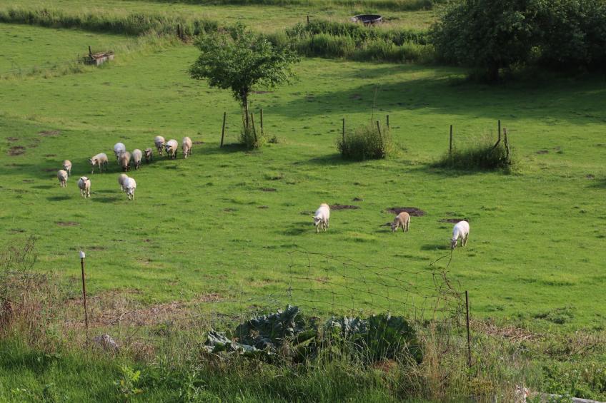 Le Gîte Mariette - foto 22