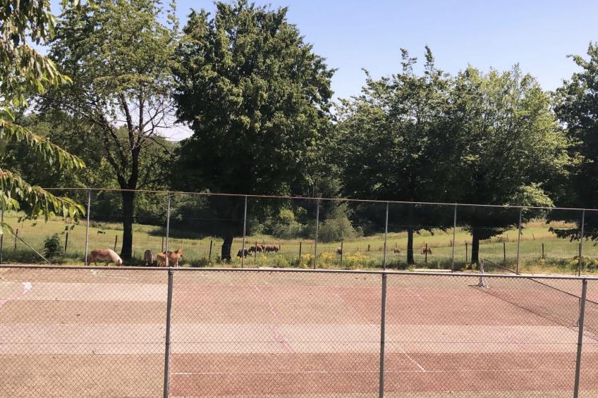 Bungalowpark Landsrade - foto 19