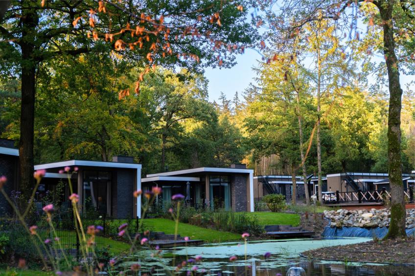 Vakantiepark de Woeste Hoogte 2 - foto 24