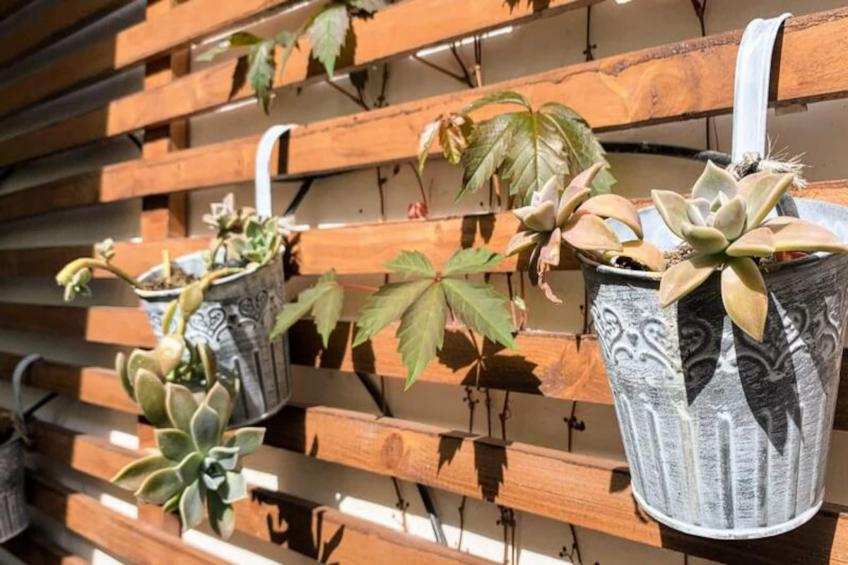 La Terrasse Bazille - foto 51