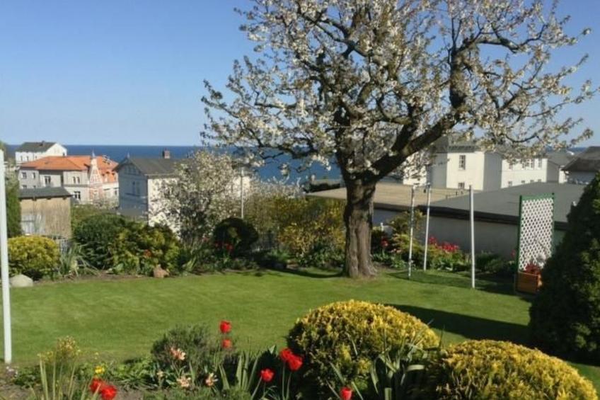 Strandläuferle - foto 20