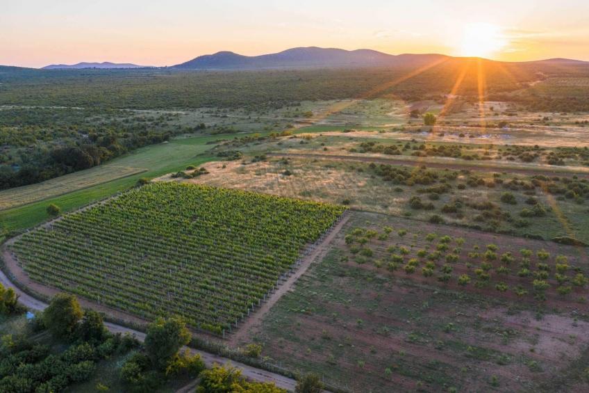 Authentic Villa Storia - foto 49