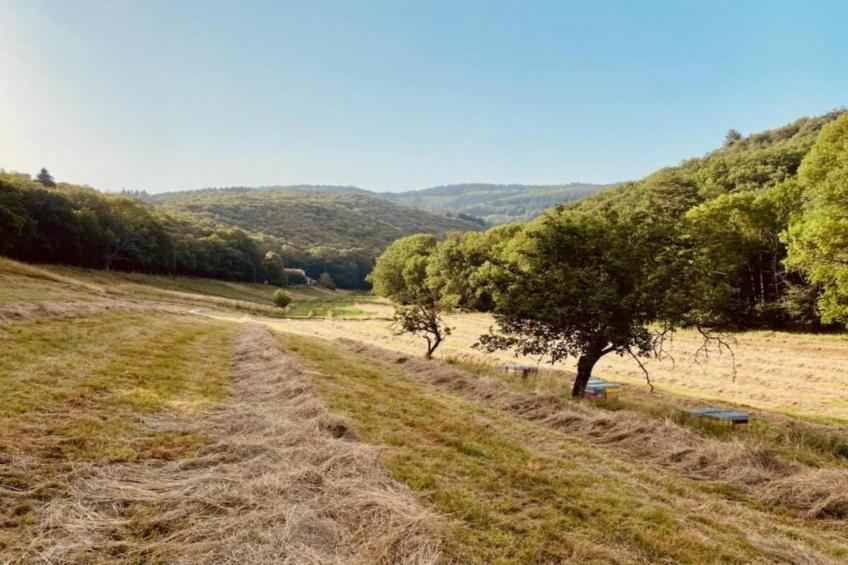 Domaine Courniou - foto 37