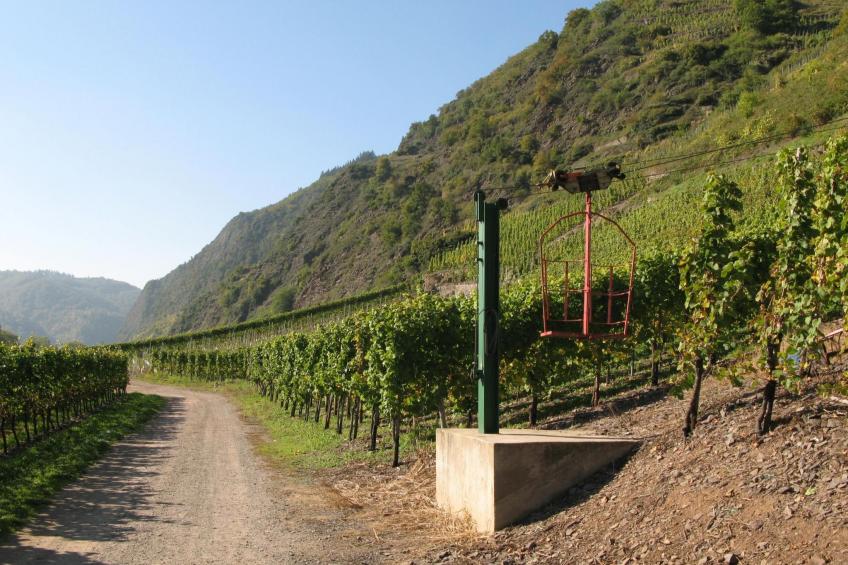 Schneemann - foto 18