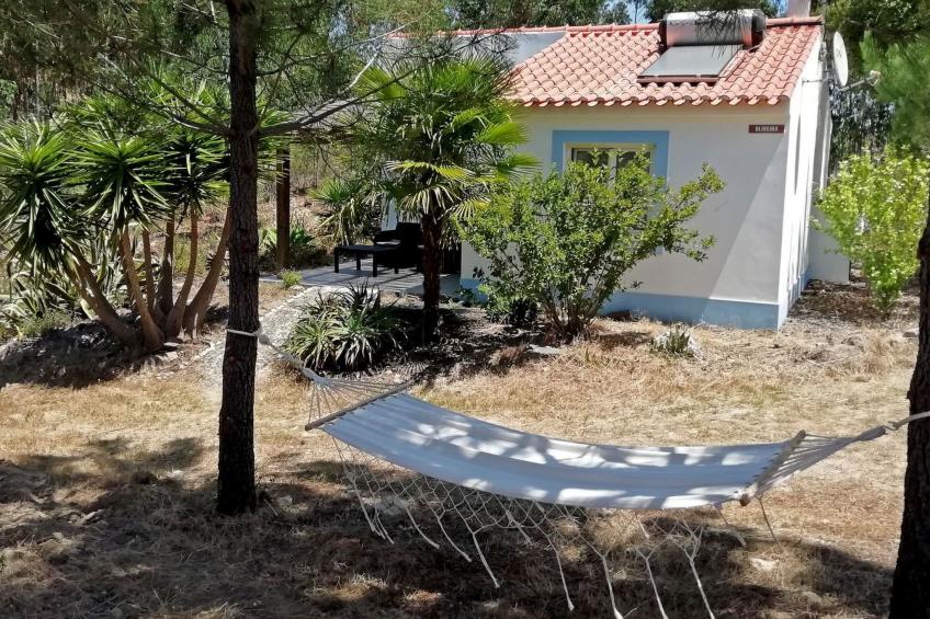 Monte Horizonte Casa Oliveira Öko und Natur - foto 11