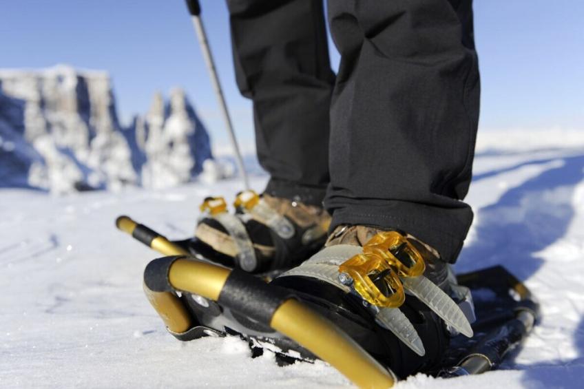 118865 - foto 19