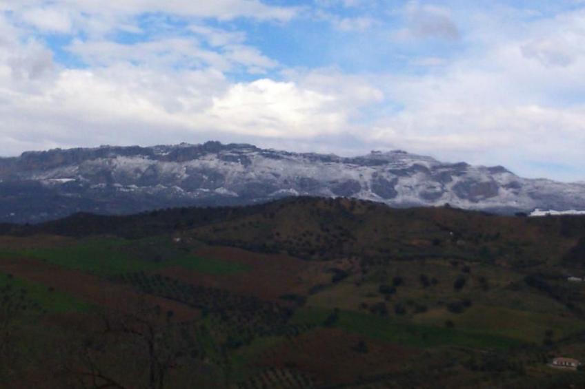 in Almogía mit Garten, Terrasse und gemeinschaftlichem Pool - foto 8