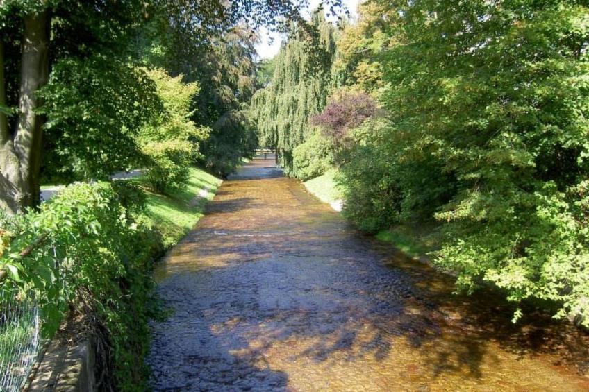 Cassiopaia in Baden-Baden - foto 14