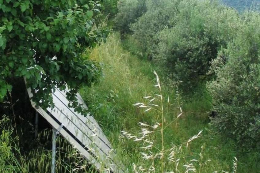 Studio mit Balkonblick ins bergige Grüne - foto 15