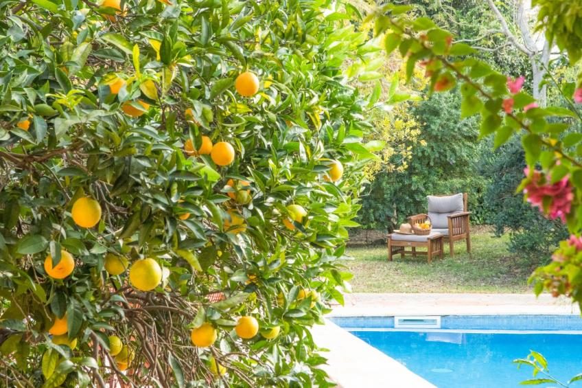 Stadthaus für 12, mit Schwimmbad auf Mallorca - foto 3