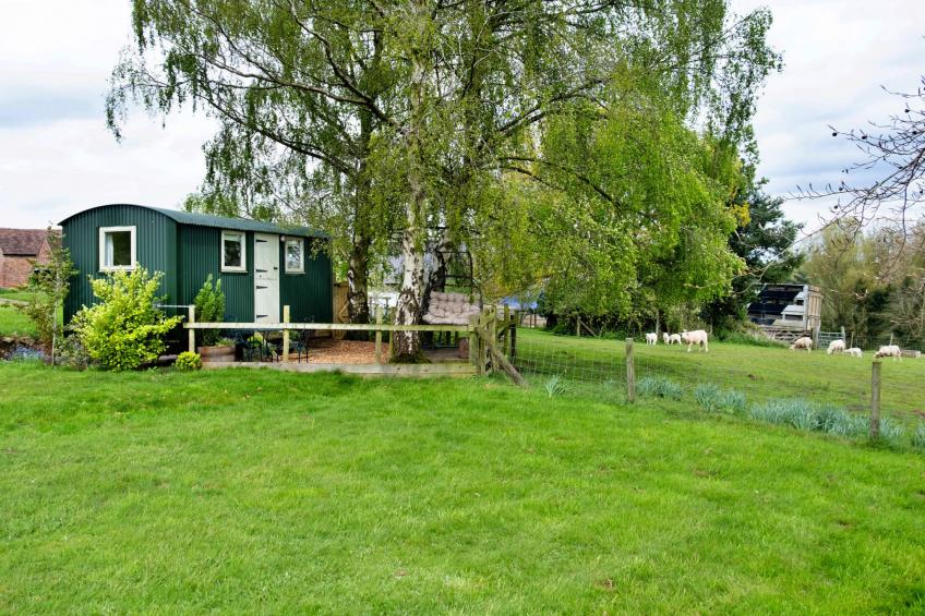 Hay and Hedgerow Glamping - foto 14