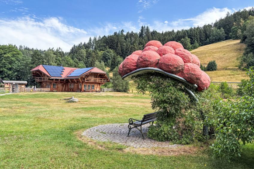 Schwarzwaldblick - foto 19