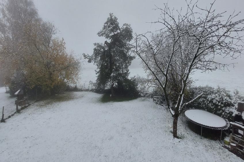 Ardennes Bleu 8 pers maximum - foto 25