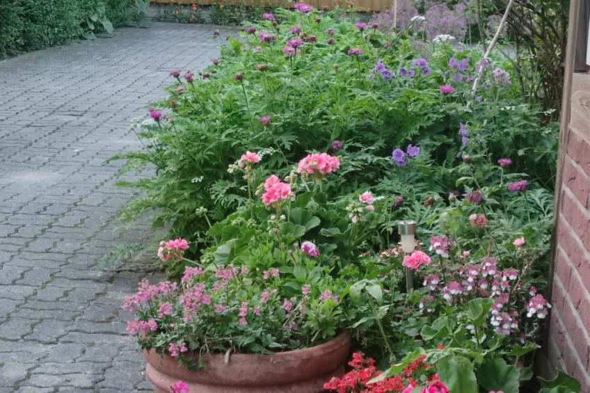 Janet Ratschkowski - foto 44