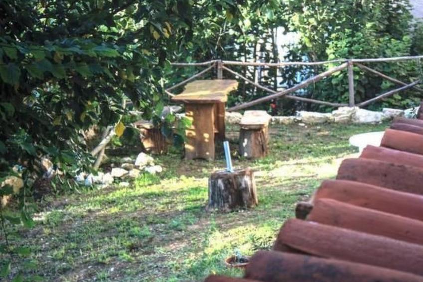 Unabhängige Wohnung, mitten im Grünen des Berges und des Sees, 80 km von Ost-Ro - foto 29