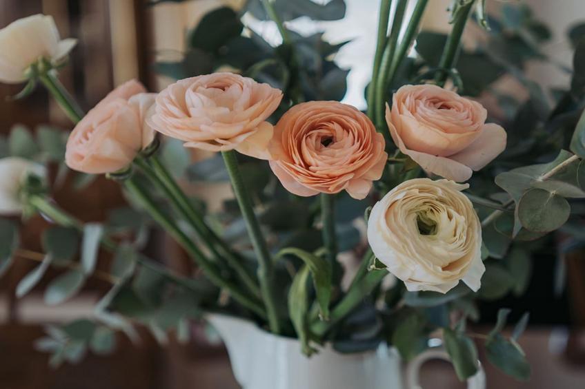 Enchanted Misty Valley Cottage Apartments - Standard One Bedroom Apartment (owner 3) - foto 16