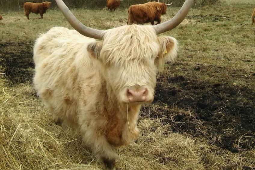 Juwel an der Lagune - foto 27