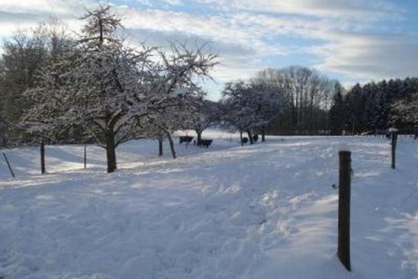 Biohof-Enderlin - foto 14