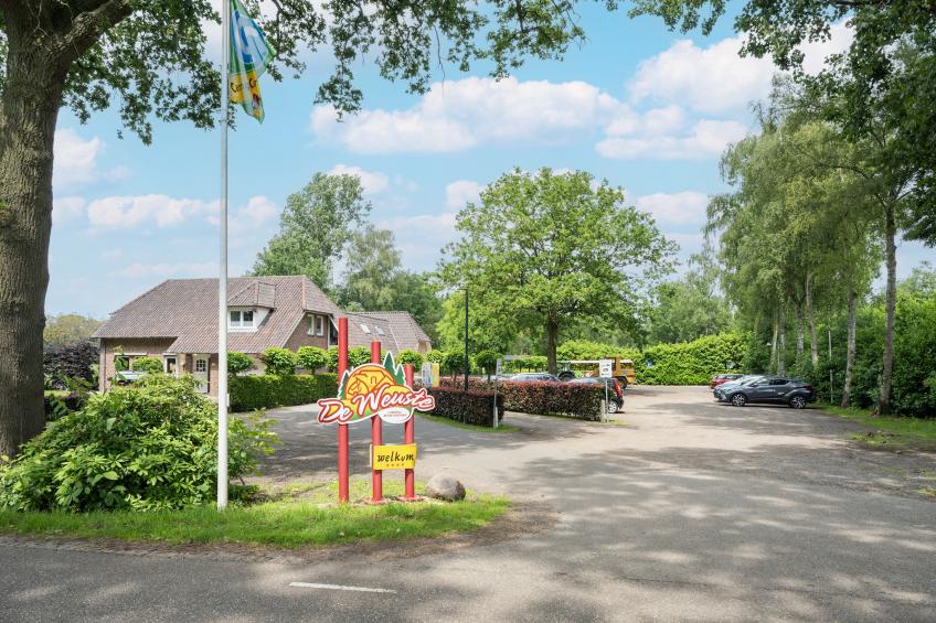 Steenmarter - foto 39