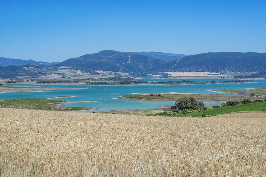 Cortijo Sierra y Lago - foto 40