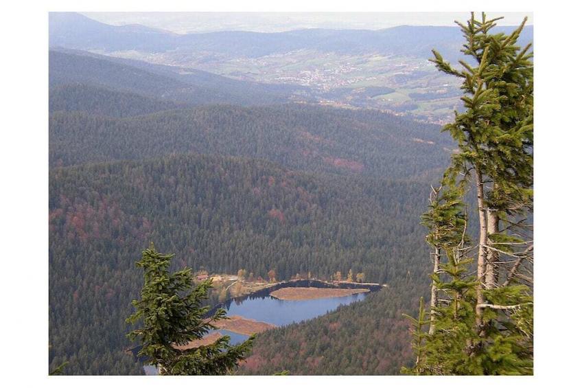 21771 - foto 21