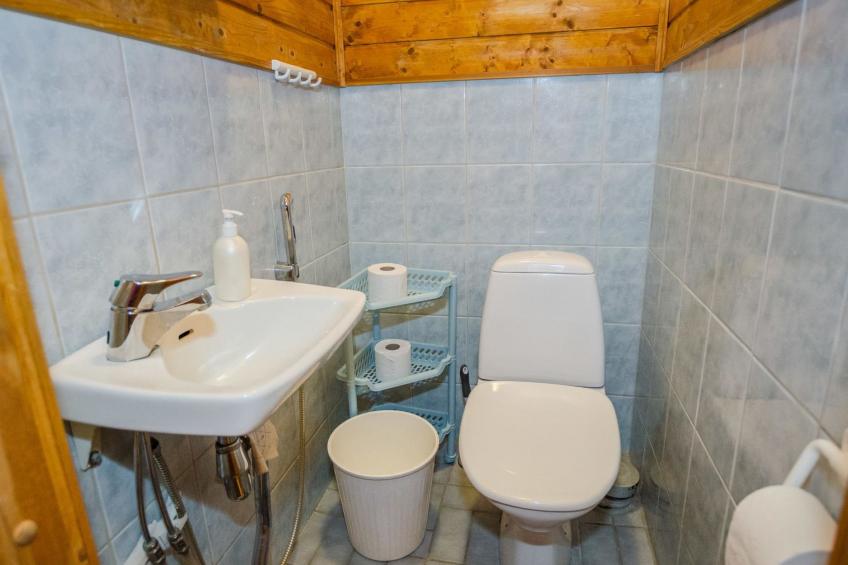 Koli, cjoe069 kissankello - foto 21