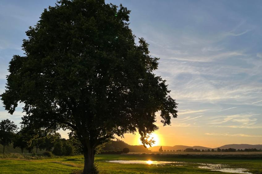 Blickweite - foto 15