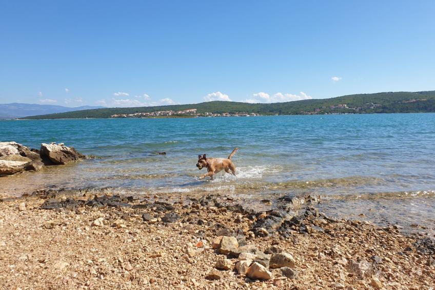 Apartment PintaDeSol - foto 32