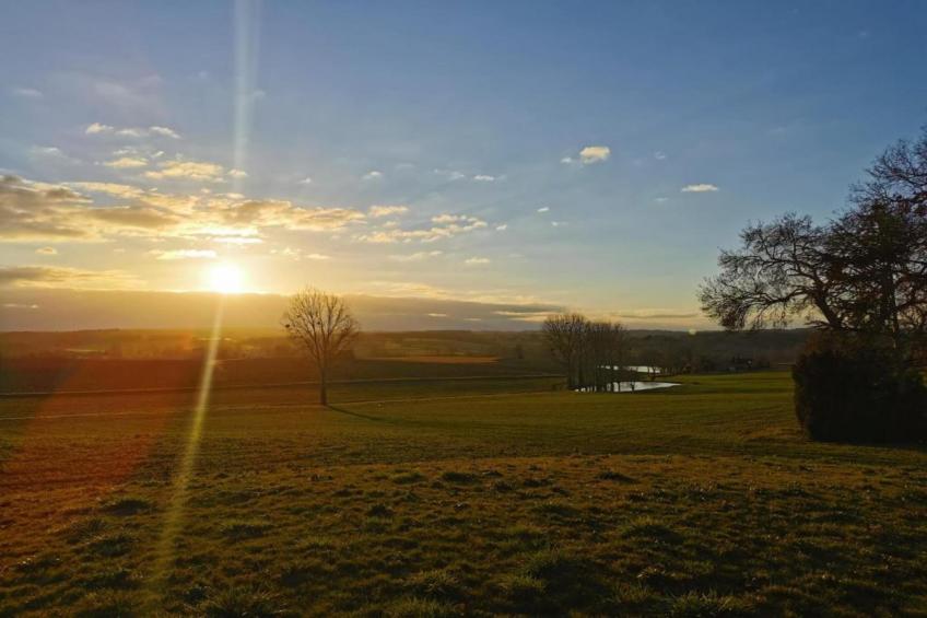 Ecolodge en Sequoia - foto 29