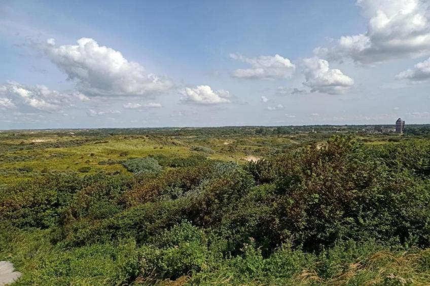 Safari tent for 5 person - foto 35