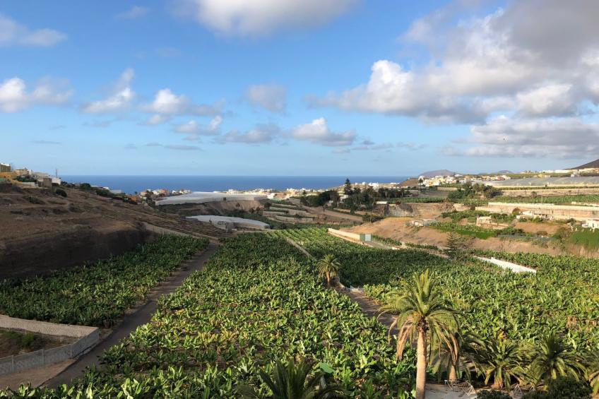 Villa los palmitos Familiäre Privatvilla mit Pool - foto 54